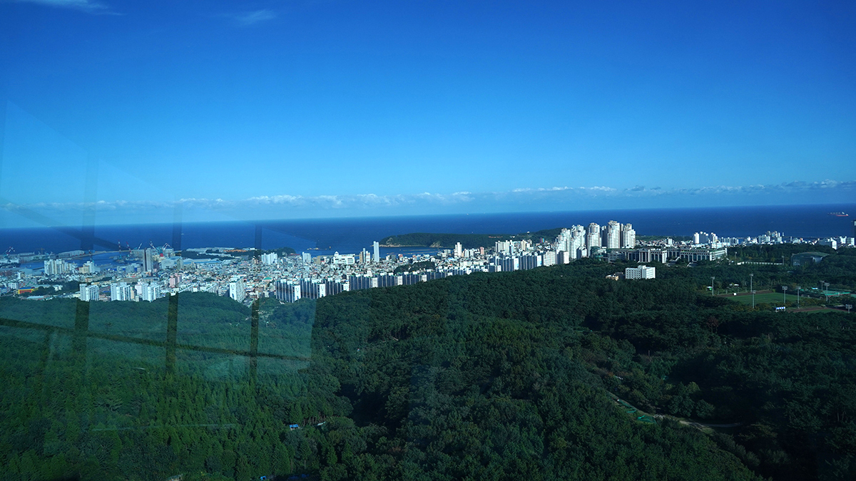 울산대교 전망